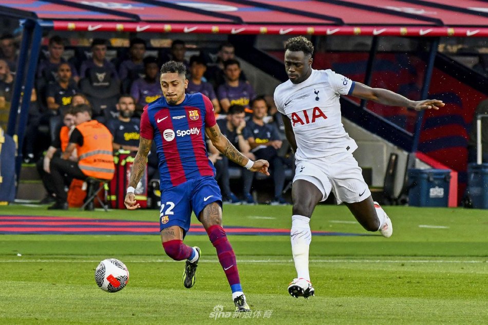 球技和战术 球技和战术