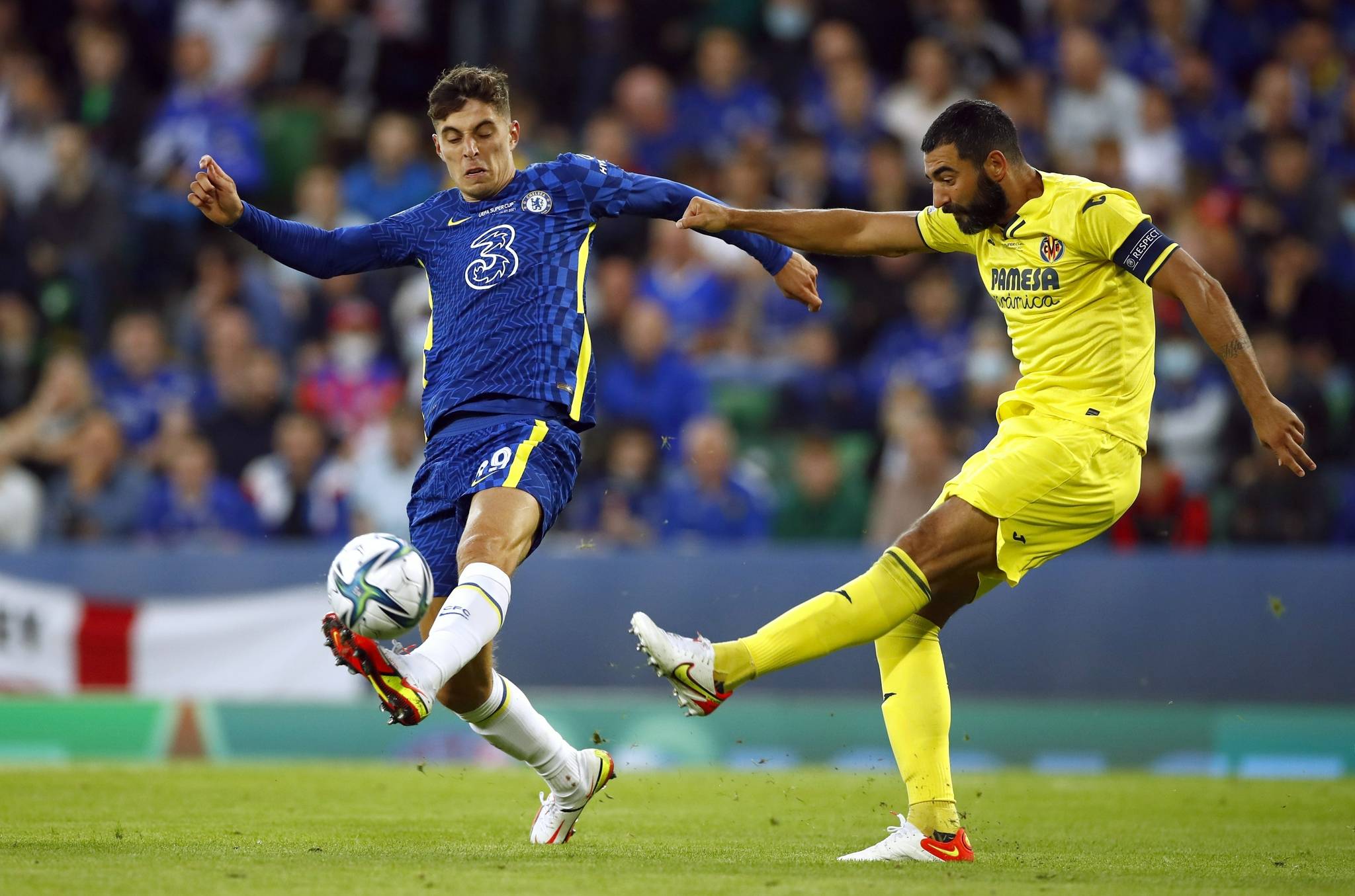 无数年轻的 无数年轻的